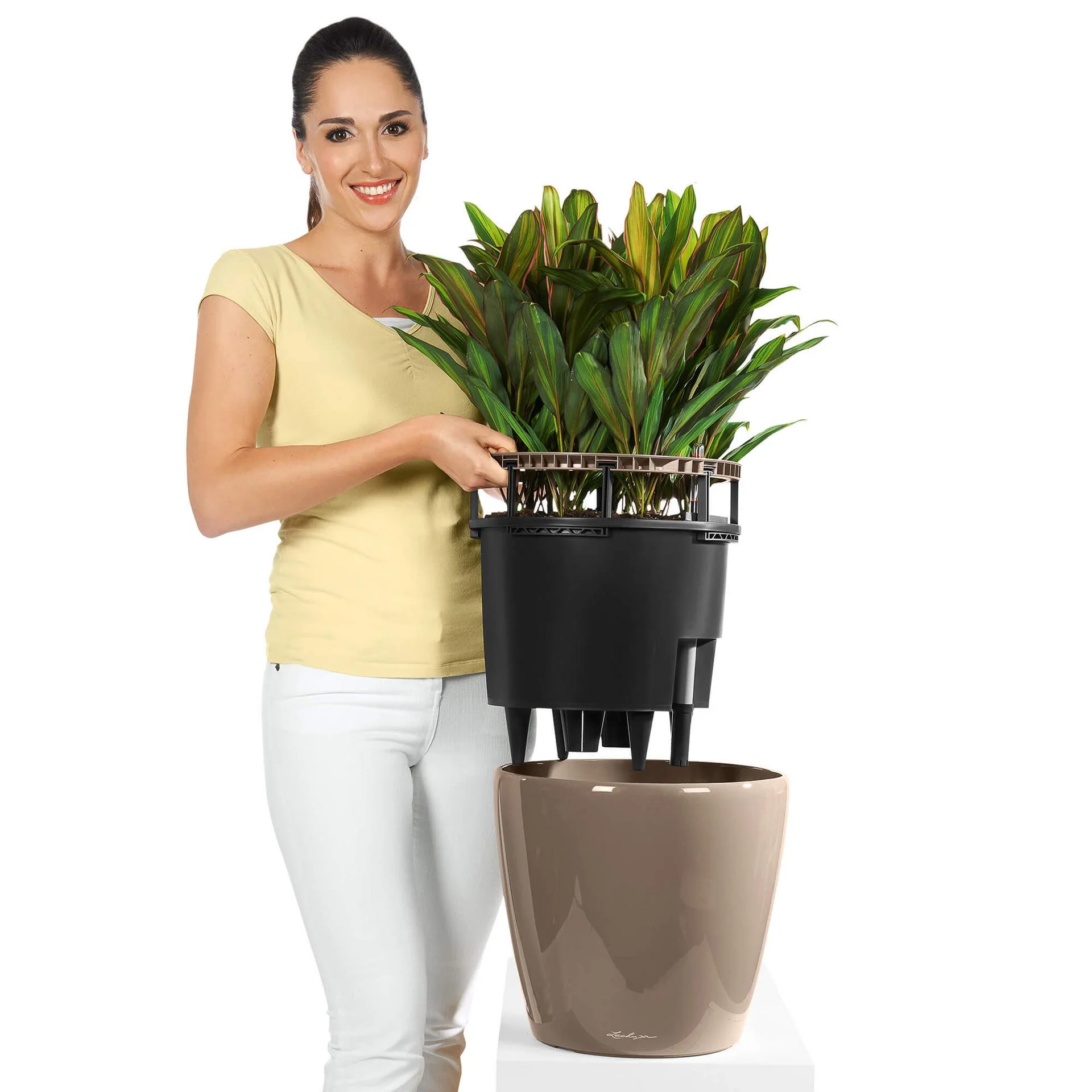 Lechuza Self-Watering Pot - CLASSICO LS 50 Premium - Image 8