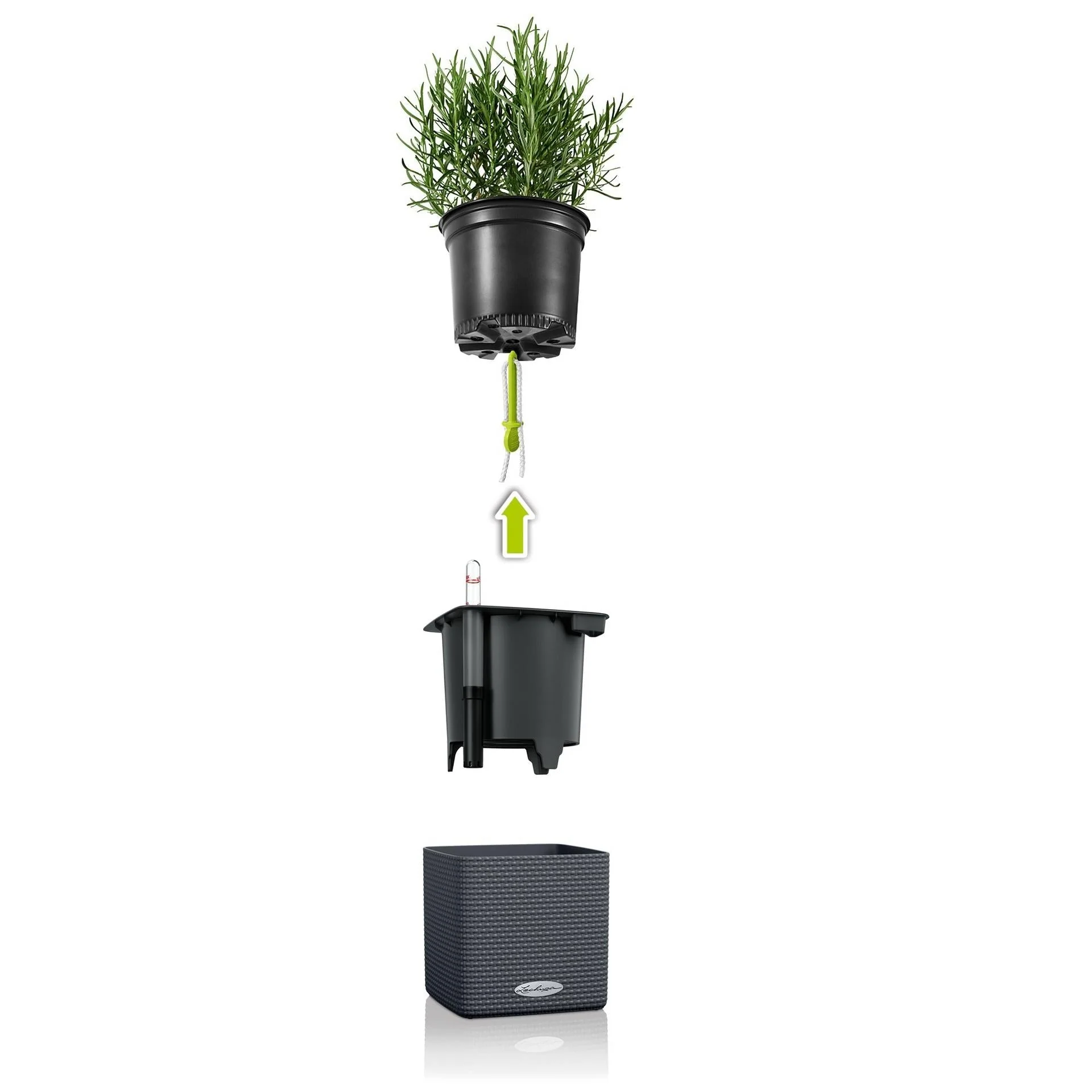 Lechuza Self-Watering Pot - PURO CUBE Color 14 - Image 6