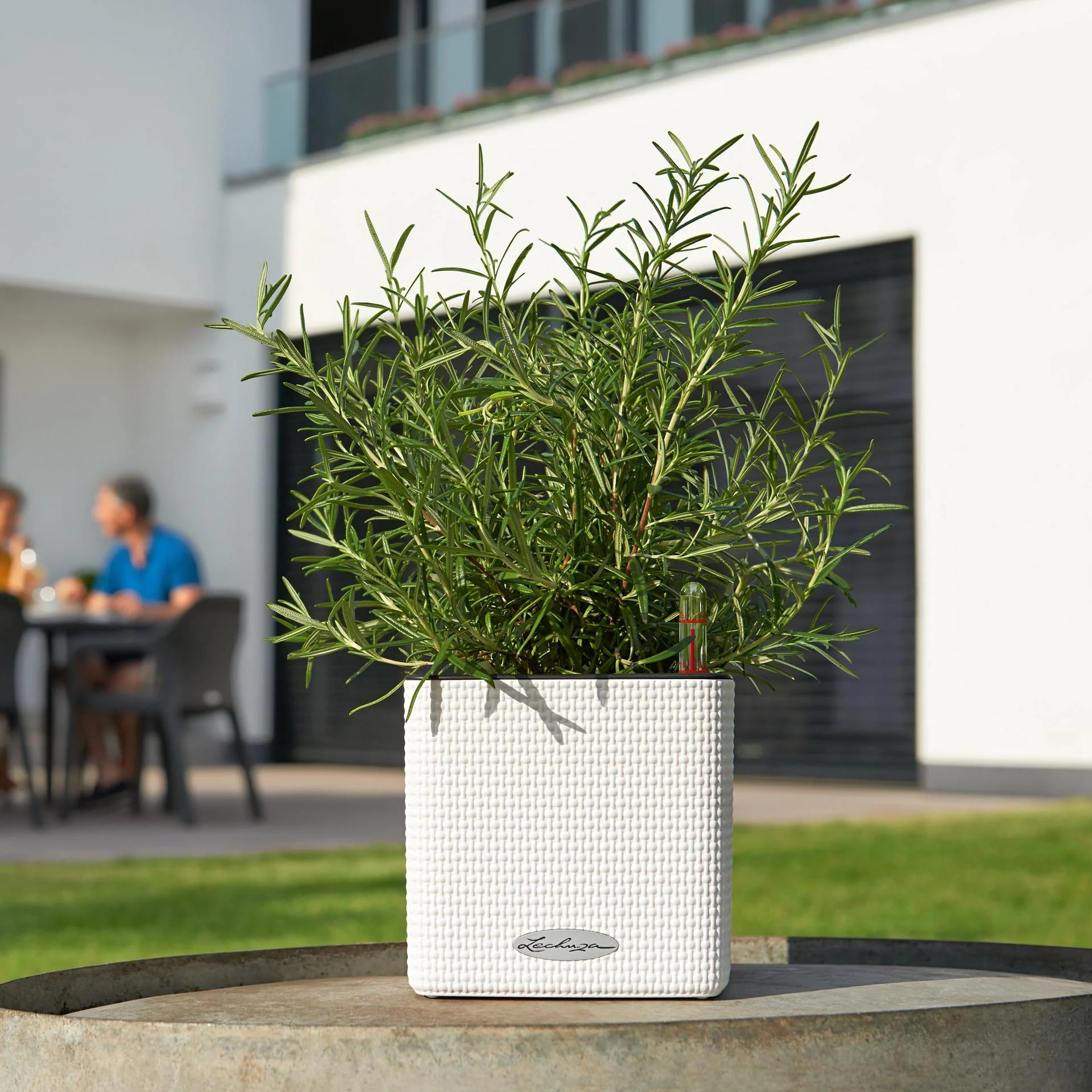 Lechuza Self-Watering Pot - PURO CUBE Color 14 - Image 9
