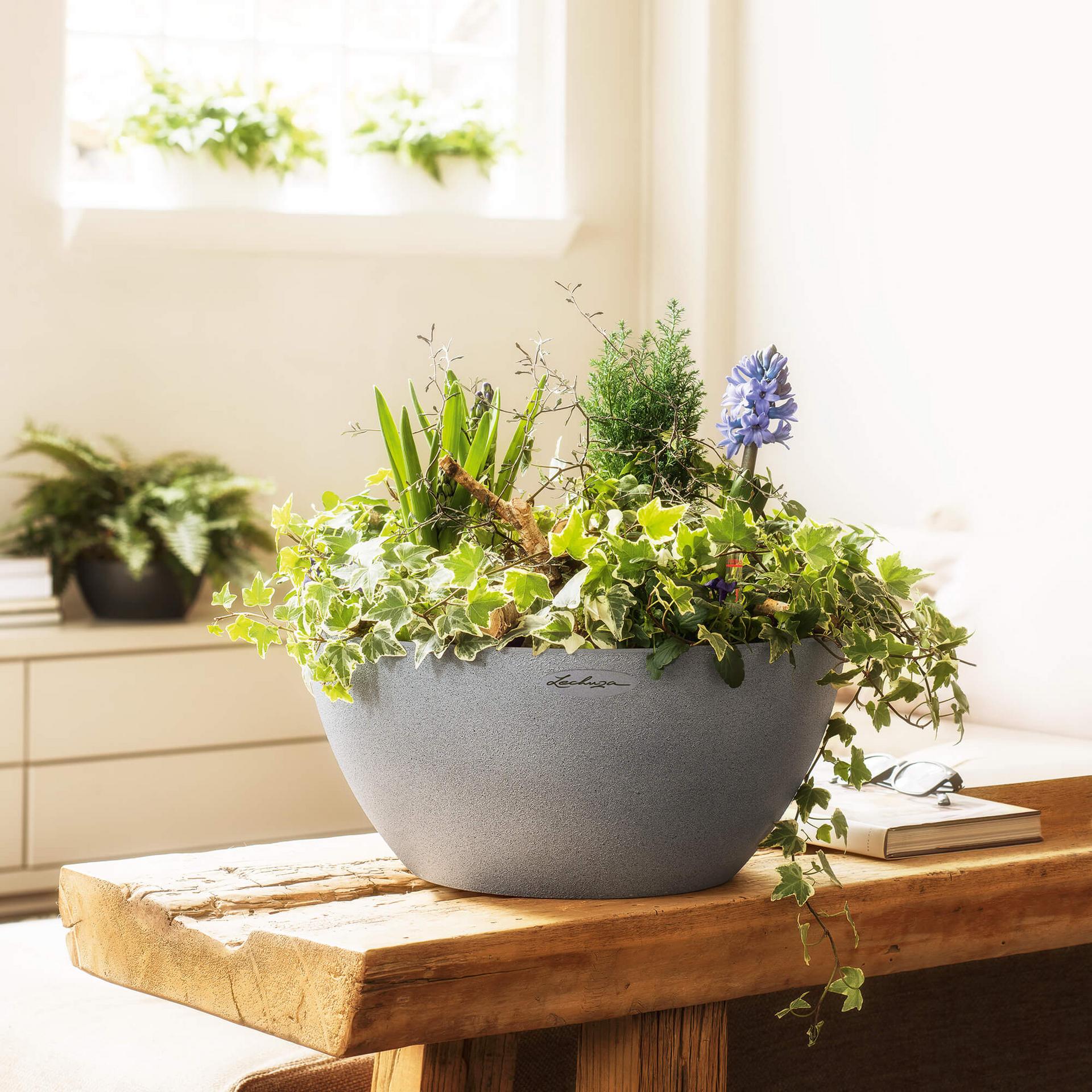 Lechuza Self-Watering Pot - CUBETO Stone 30 Bowl - Image 10