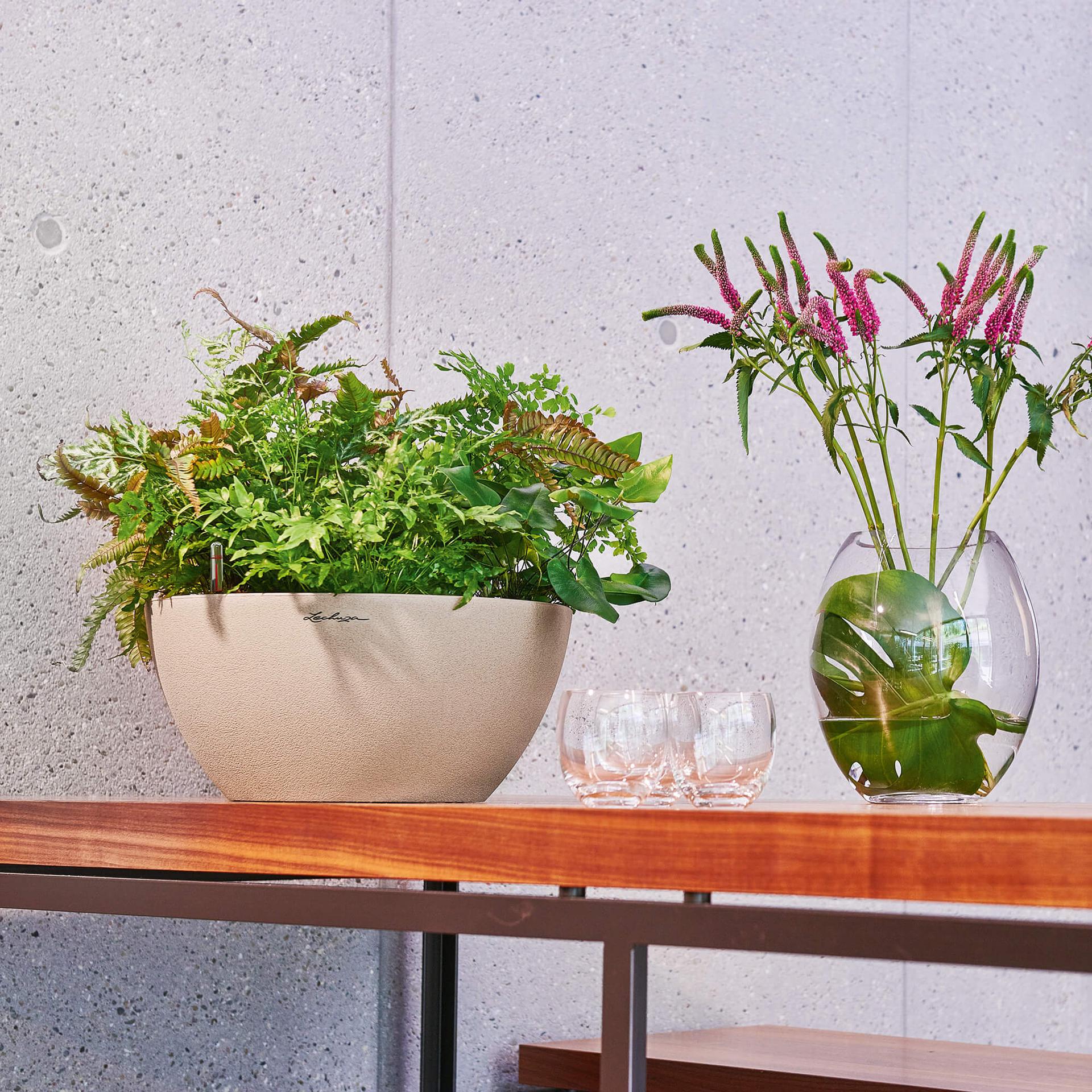 Lechuza Self-Watering Pot - CUBETO Stone 30 Bowl - Image 11