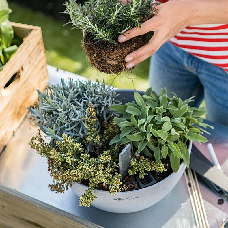 Lechuza Self-Watering Pot - CUBETO Stone 30 Bowl - Image 13