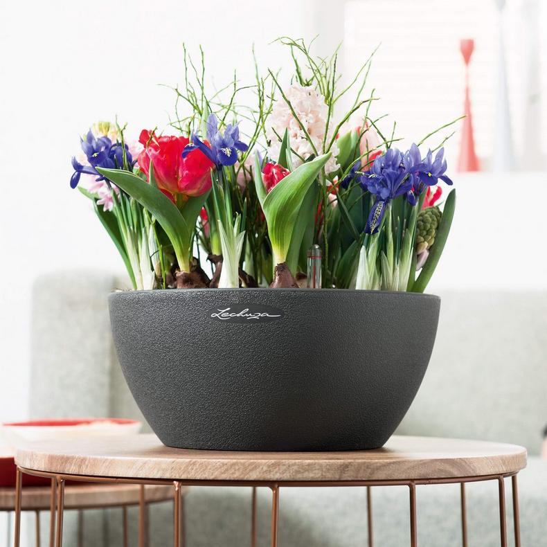 Lechuza Self-Watering Pot - CUBETO Stone 30 Bowl - Image 14