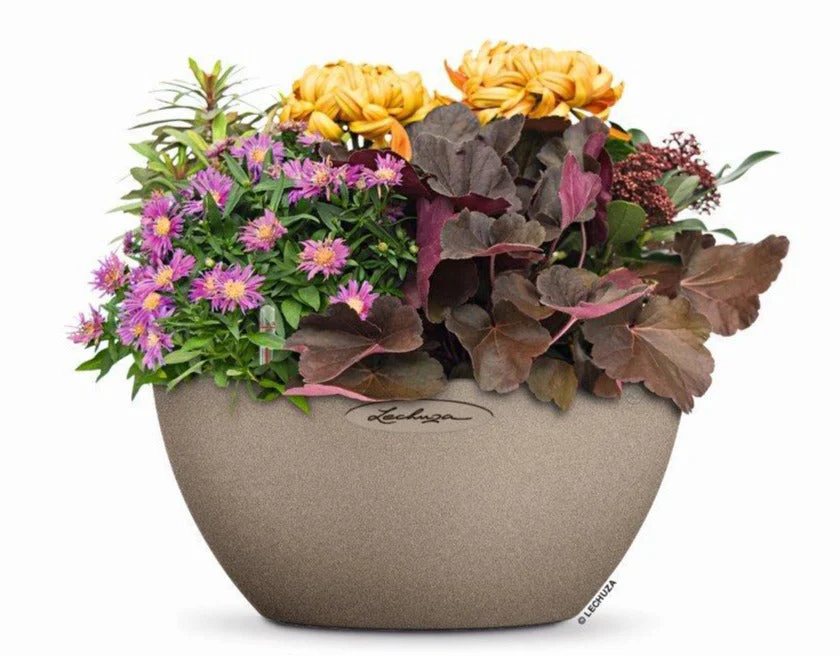 Lechuza Self Watering Pot - CUBETO Stone 40 Bowl