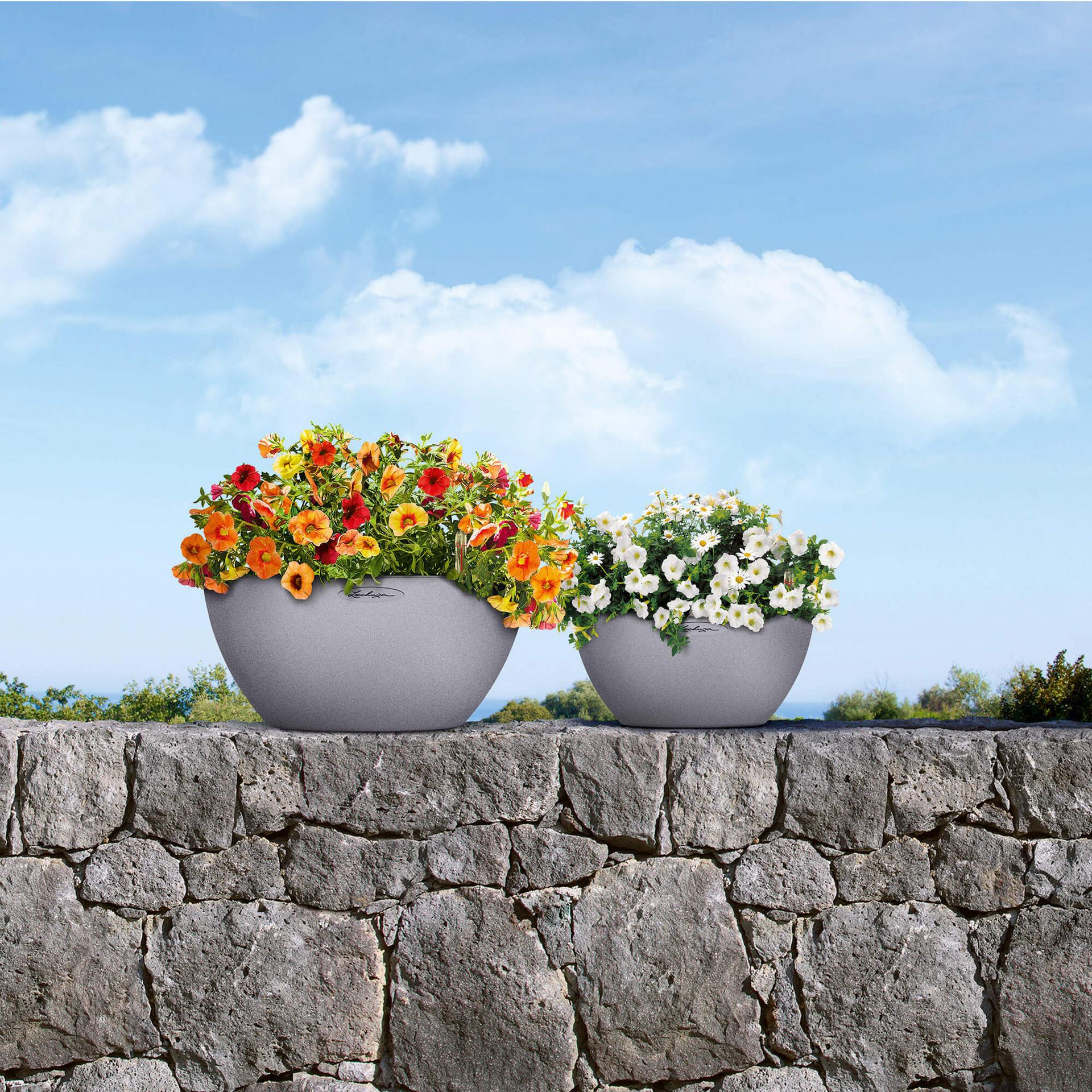 Lechuza Self Watering Pot - CUBETO Stone 40 Bowl - Image 11