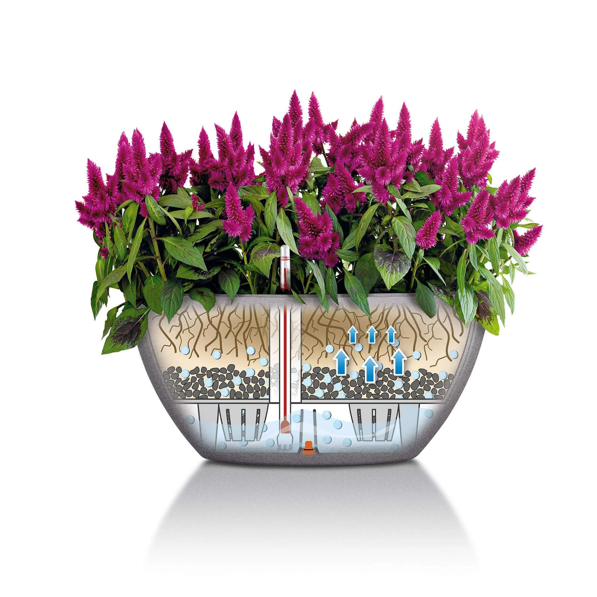 Lechuza Self Watering Pot - CUBETO Stone 40 Bowl - Image 7