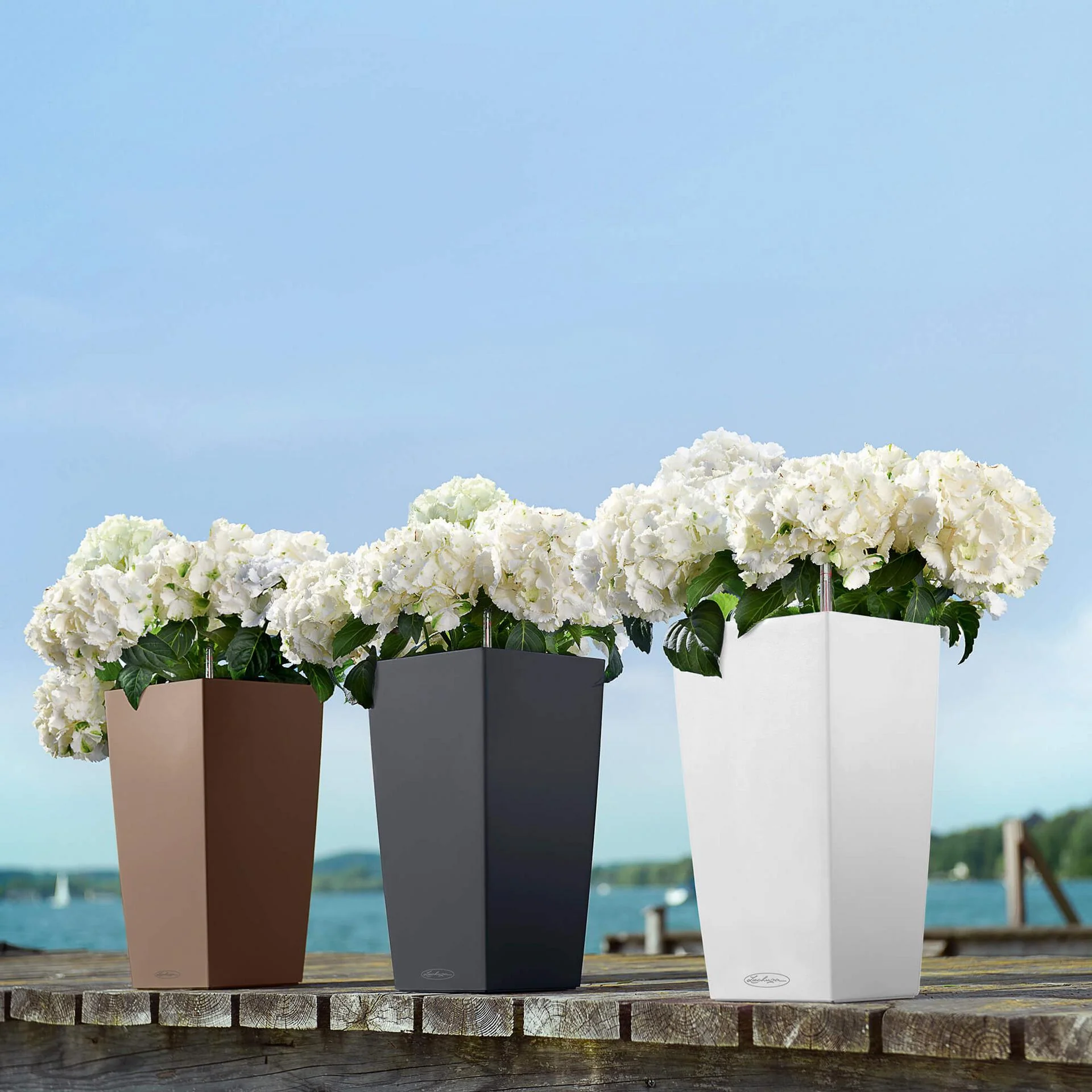 Lechuza Self-Watering Pot - CUBICO Color 22 - Image 10