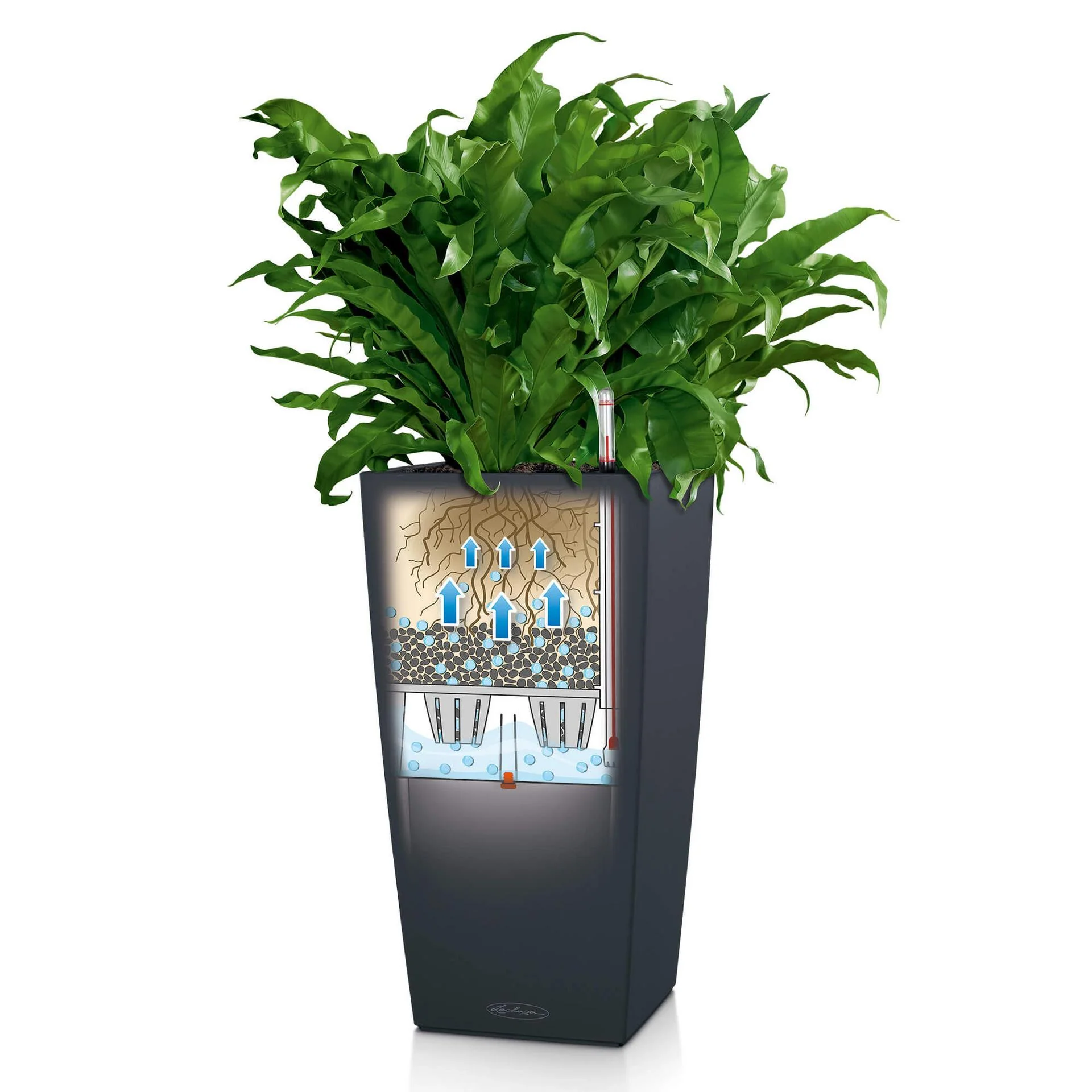 Lechuza Self-Watering Pot - CUBICO Color 22 - Image 5