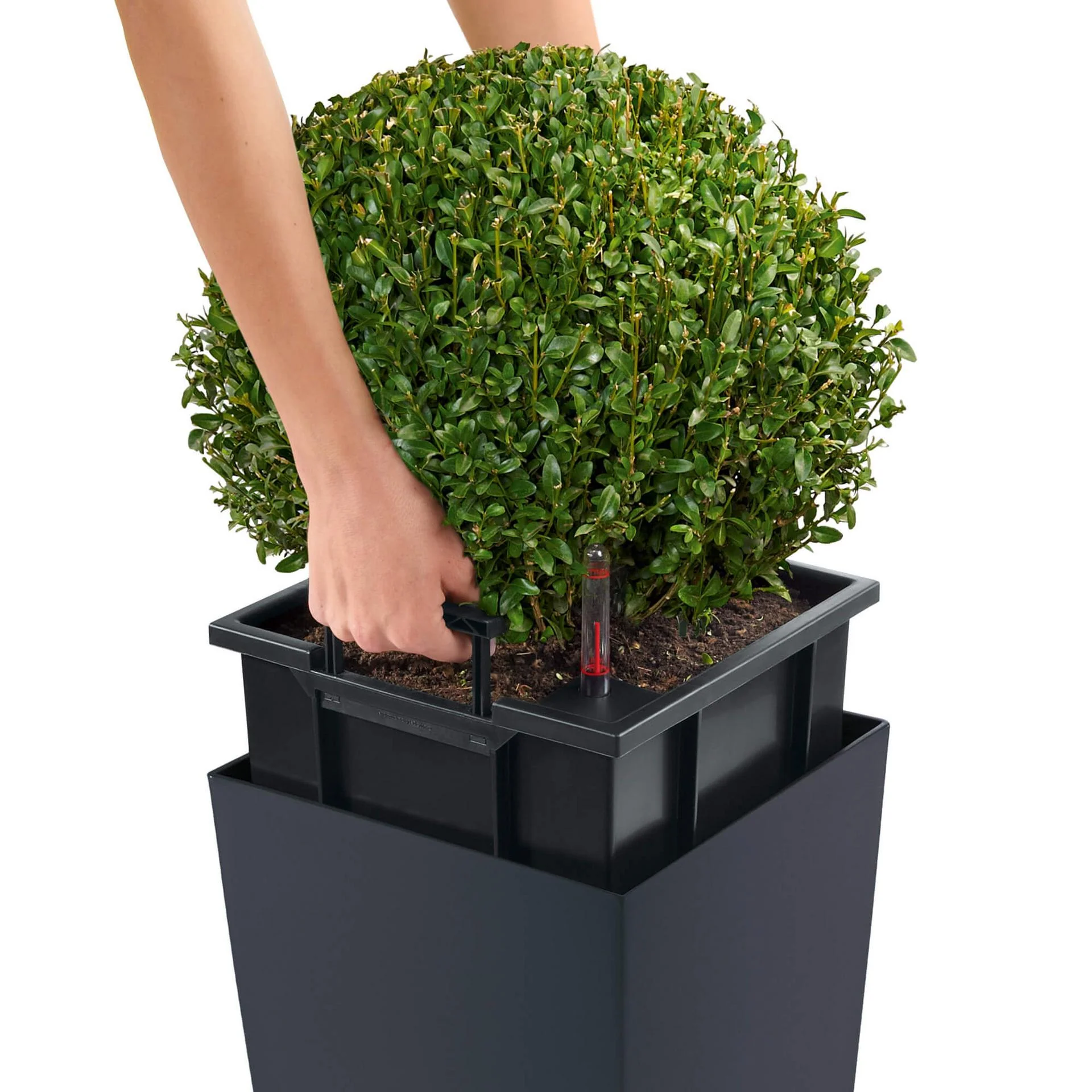 Lechuza Self-Watering Pot - CUBICO Color 22 - Image 6