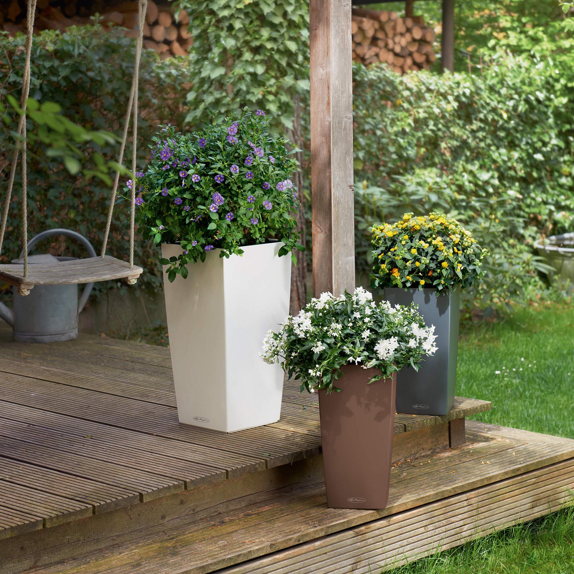 Lechuza Self-Watering Pot - CUBICO Color 22 - Image 9