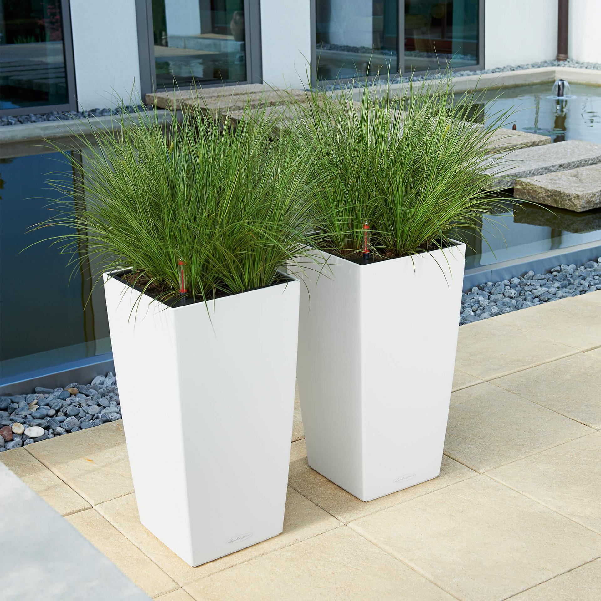 Lechuza Self-Watering Pot - CUBICO Color 30 - Image 3