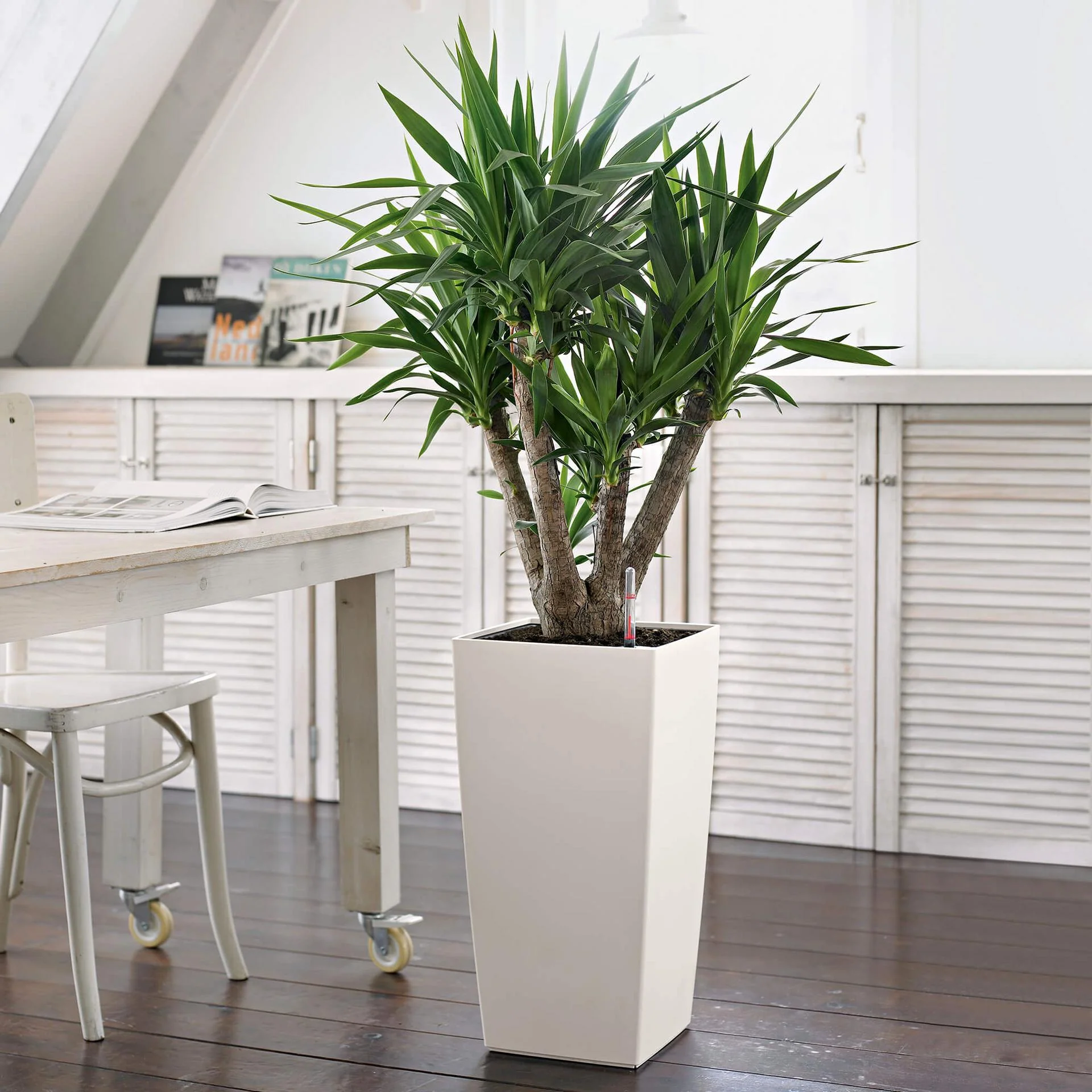 Lechuza Self-Watering Pot - CUBICO Color 30 - Image 4