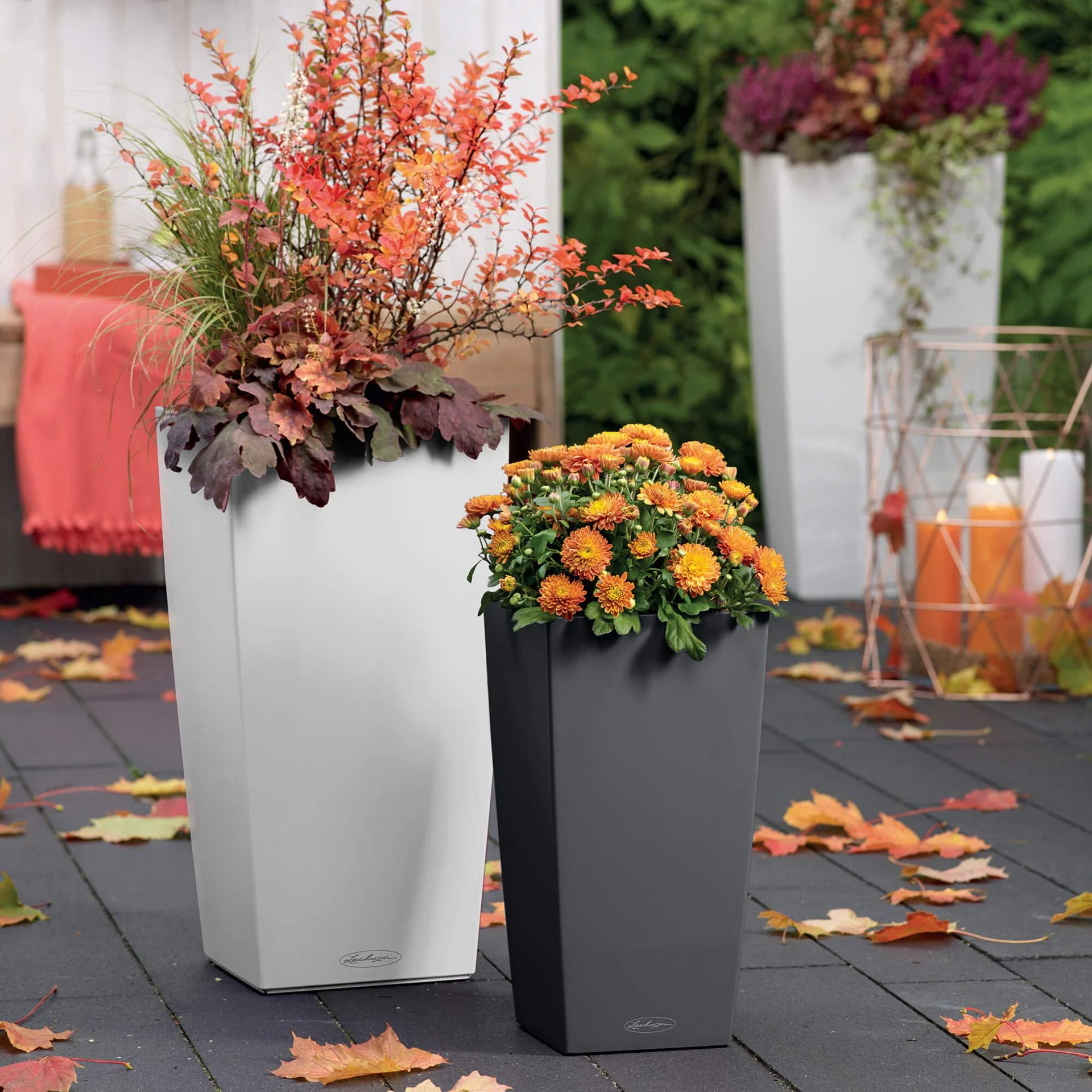 Lechuza Self-Watering Pot - CUBICO Color 30 - Image 5