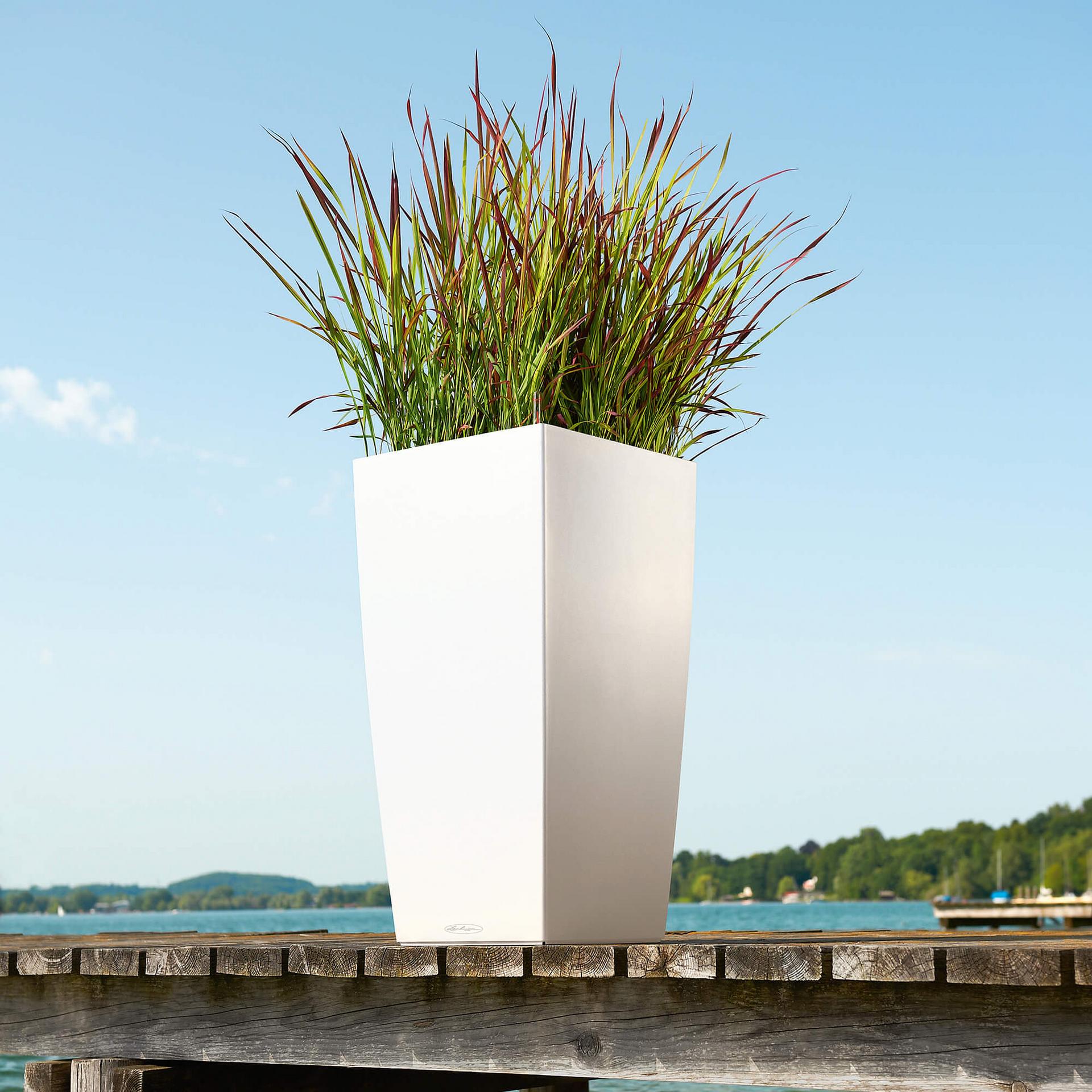 Lechuza Self-Watering Pot - CUBICO Color 40 - Image 12