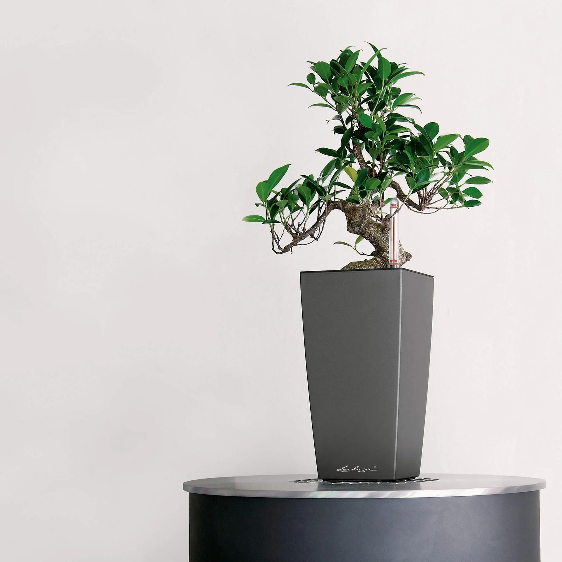 Lechuza Self Watering Pot - MAXI CUBI 14 - Image 10