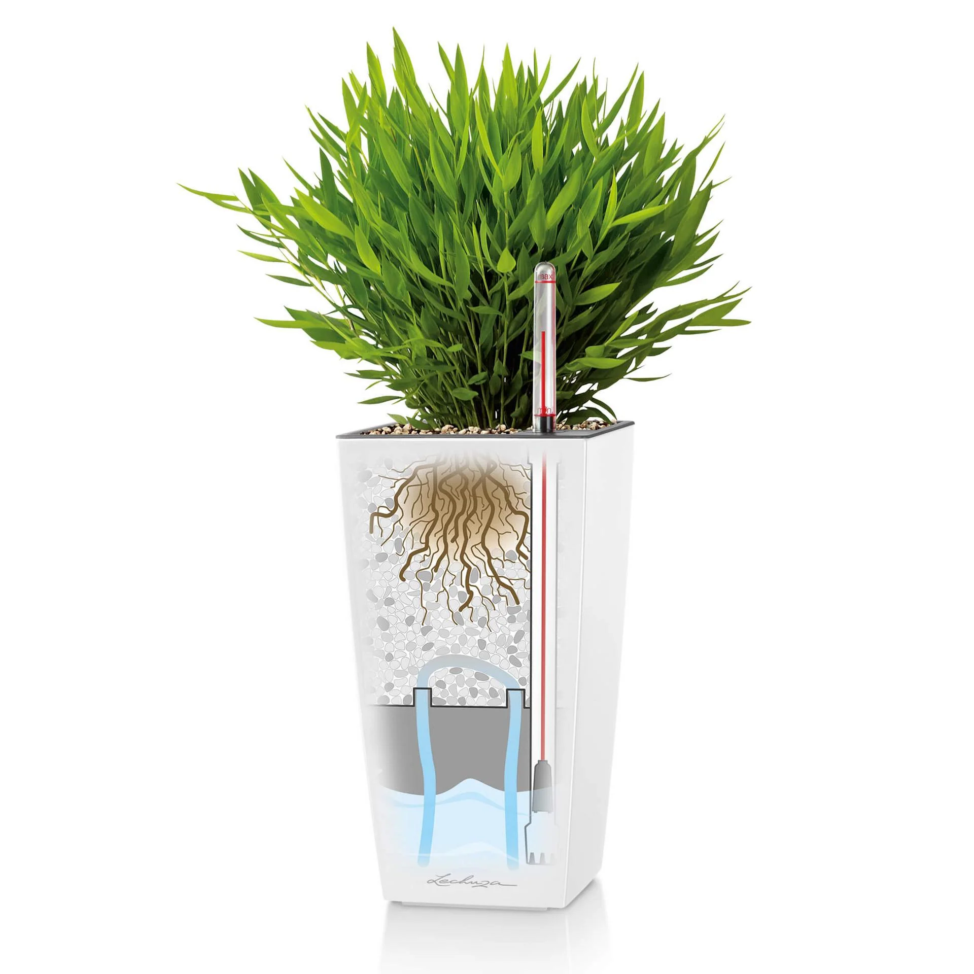 Lechuza Self Watering Pot - MAXI CUBI 14 - Image 6