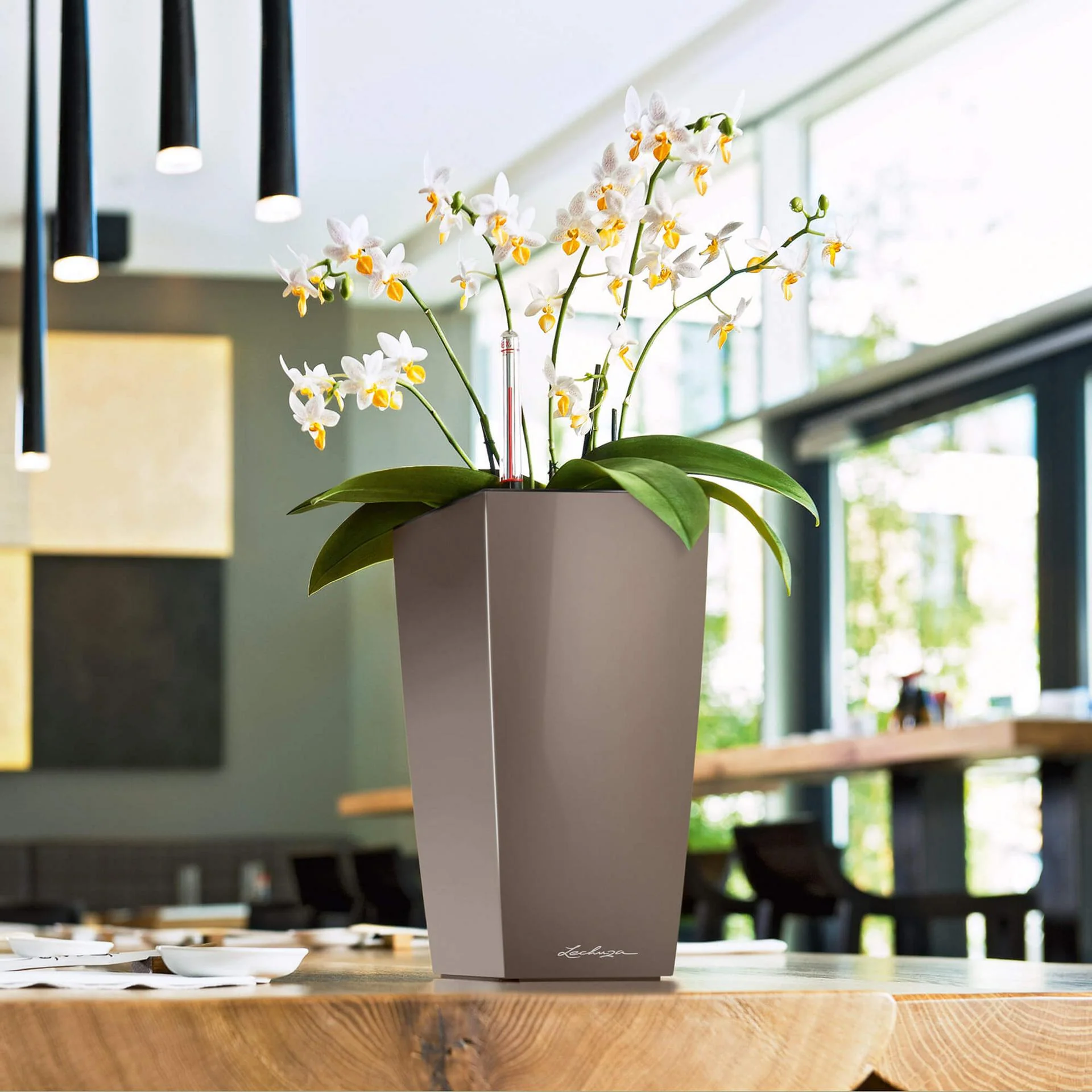 Lechuza Self Watering Pot - MAXI CUBI 14 - Image 8