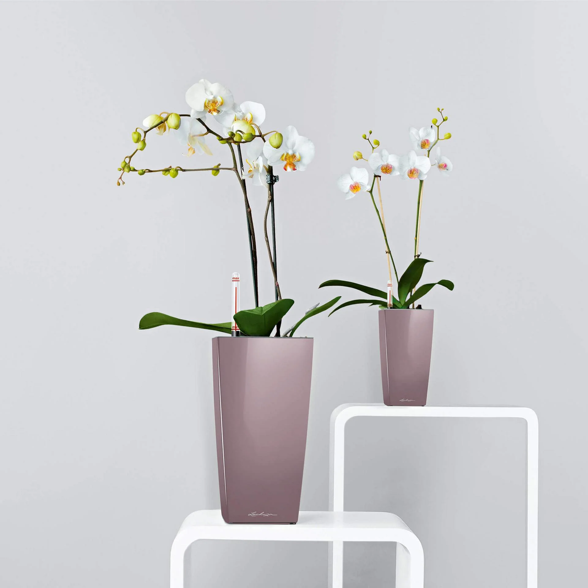 Lechuza Self Watering Pot - MAXI CUBI 14 - Image 9