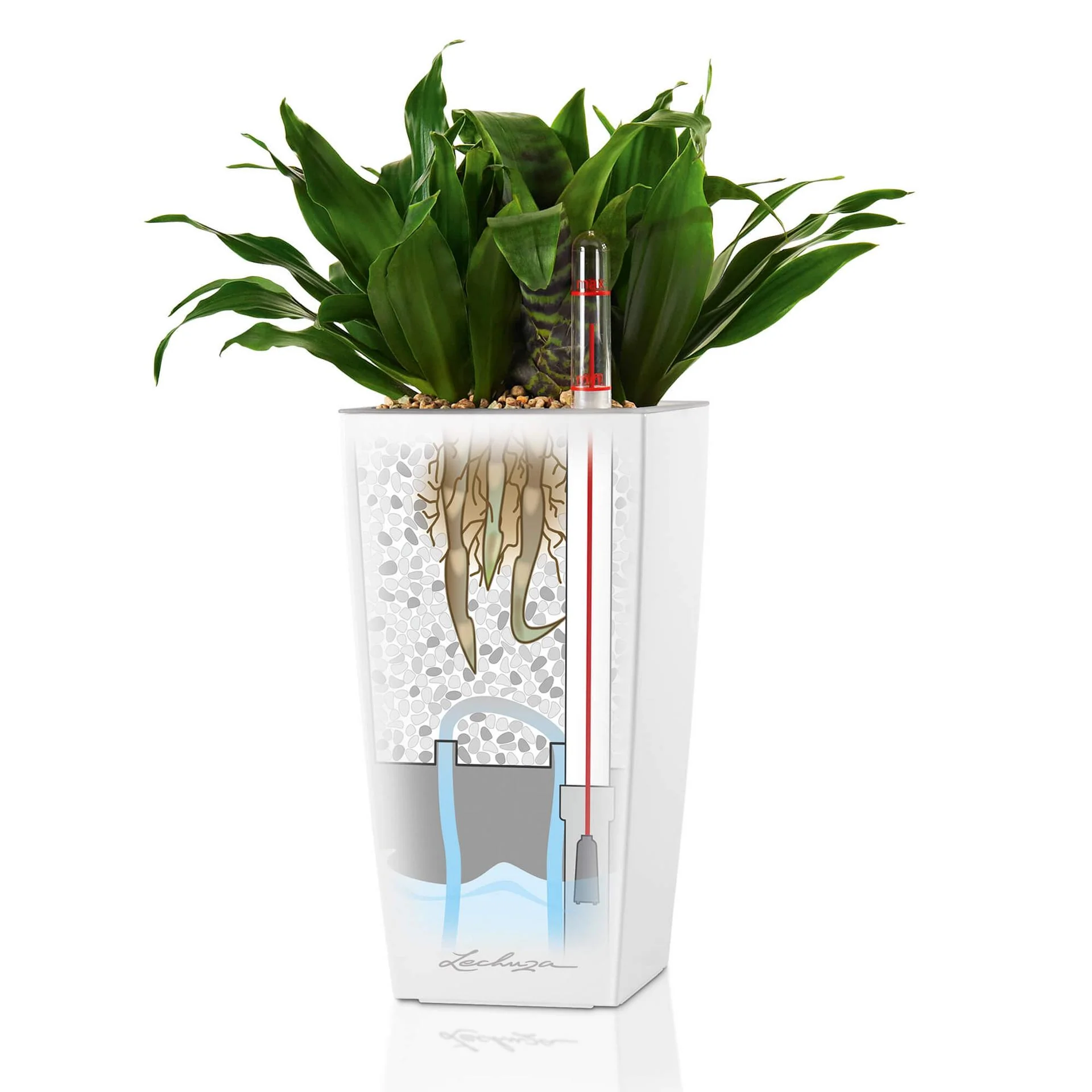 Lechuza Self Watering Pot - MINI CUBI 9 - Image 6