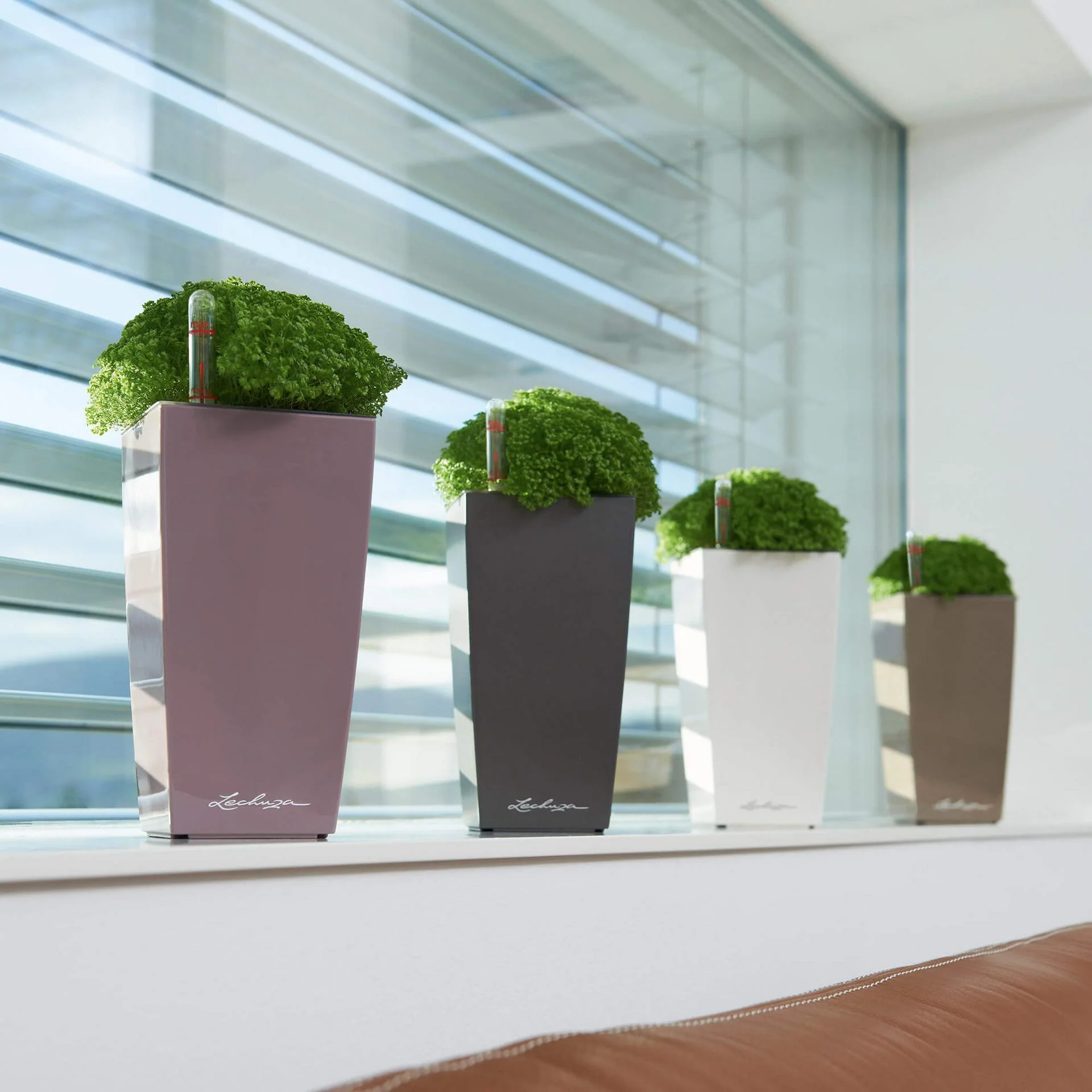 Lechuza Self Watering Pot - MINI CUBI 9 - Image 9