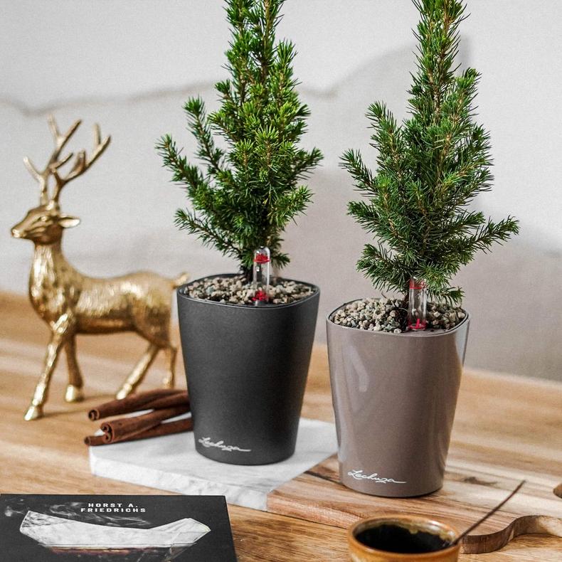 Lechuza Self Watering Pot - MINI DELTINI - Image 11