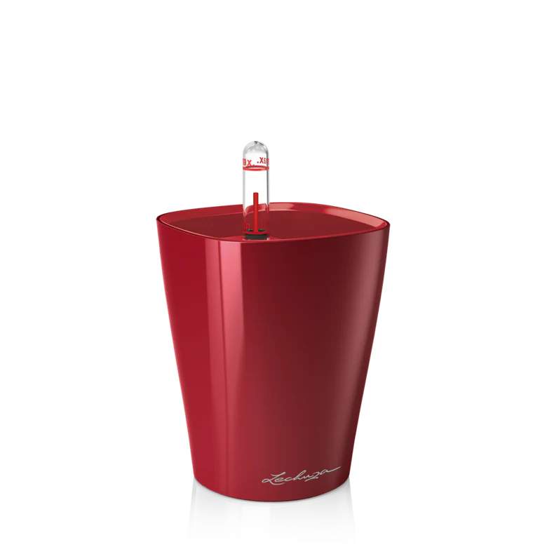 Lechuza Self Watering Pot - MINI DELTINI - Image 5