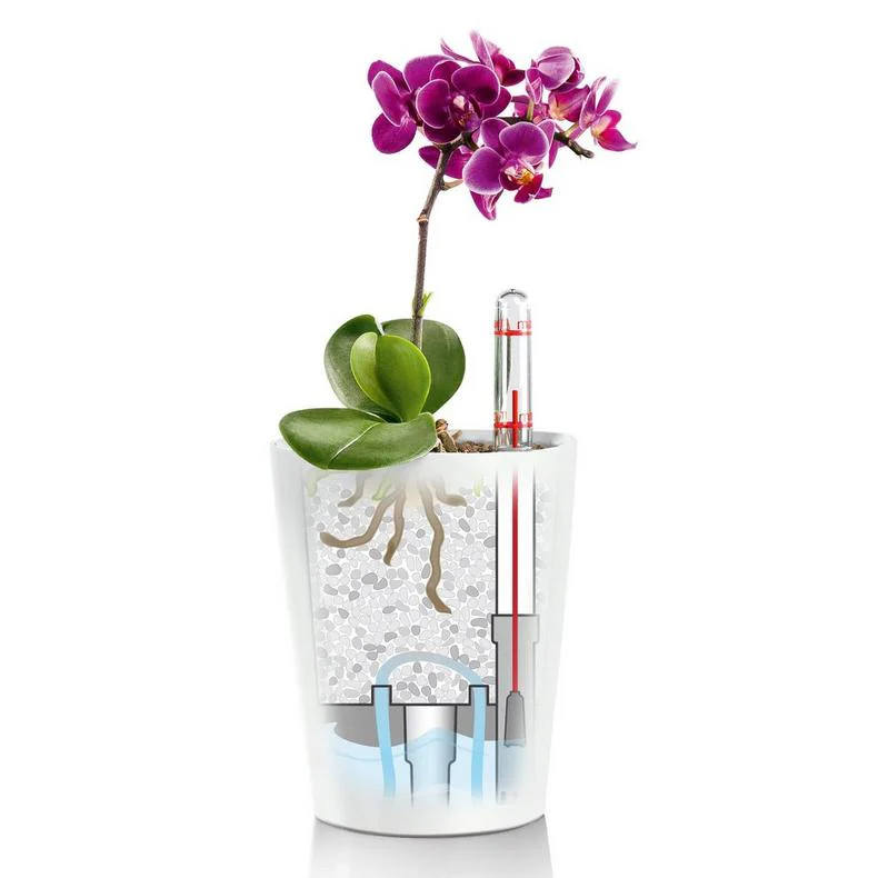 Lechuza Self Watering Pot - MINI DELTINI - Image 7