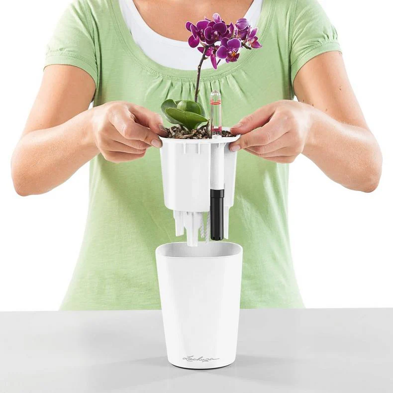 Lechuza Self Watering Pot - MINI DELTINI - Image 9