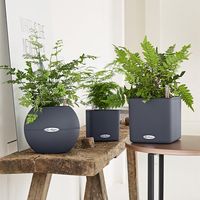 Lechuza Self-Watering Pot - PURO Color 20 - Image 10