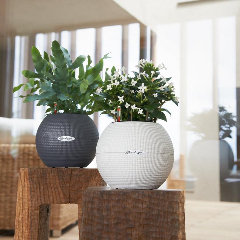 Lechuza Self-Watering Pot - PURO Color 20 - Image 12