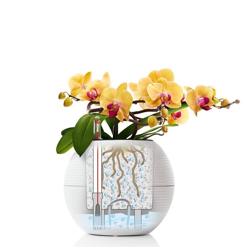 Lechuza Self-Watering Pot - PURO Color 20 - Image 5