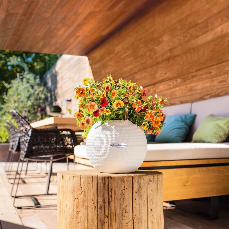 Lechuza Self-Watering Pot - PURO Color 20 - Image 8