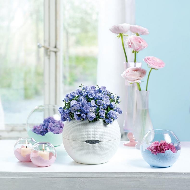 Lechuza Self-Watering Pot - PURO Color 20 - Image 9