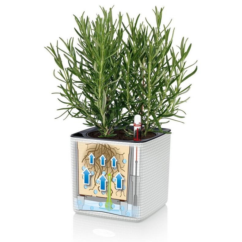 Lechuza Self-Watering Pot - PURO CUBE Color 16 - Image 6