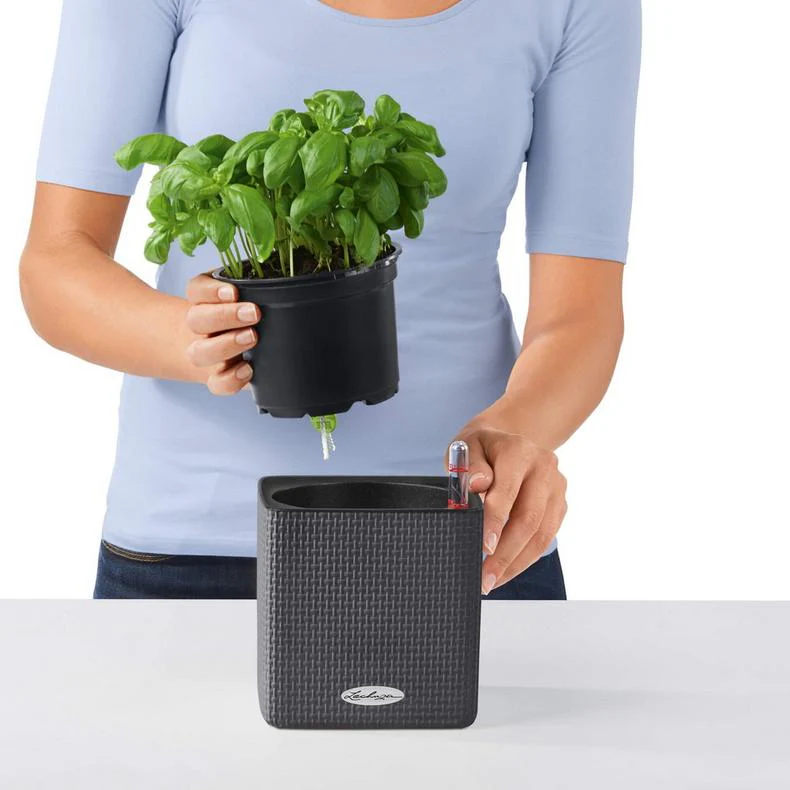 Lechuza Self-Watering Pot - PURO CUBE Color 16 - Image 8