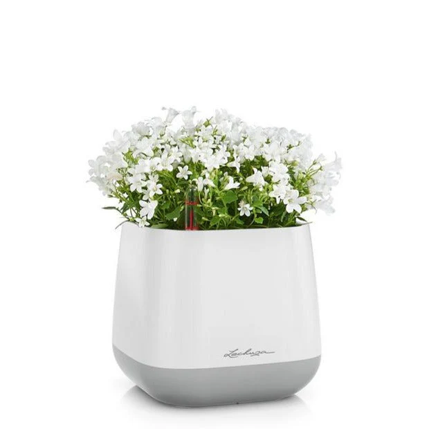 Lechuza Self Watering Pot - YULA