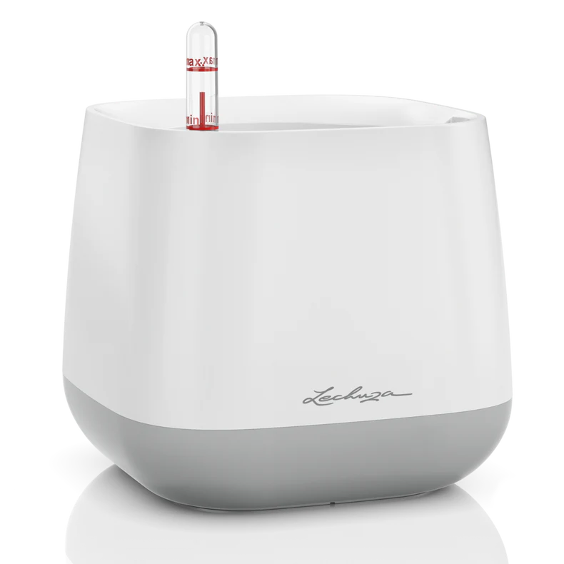 Lechuza Self Watering Pot - YULA - Image 2