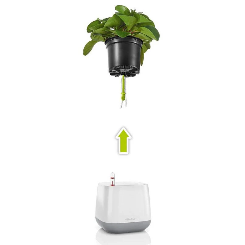 Lechuza Self Watering Pot - YULA - Image 3