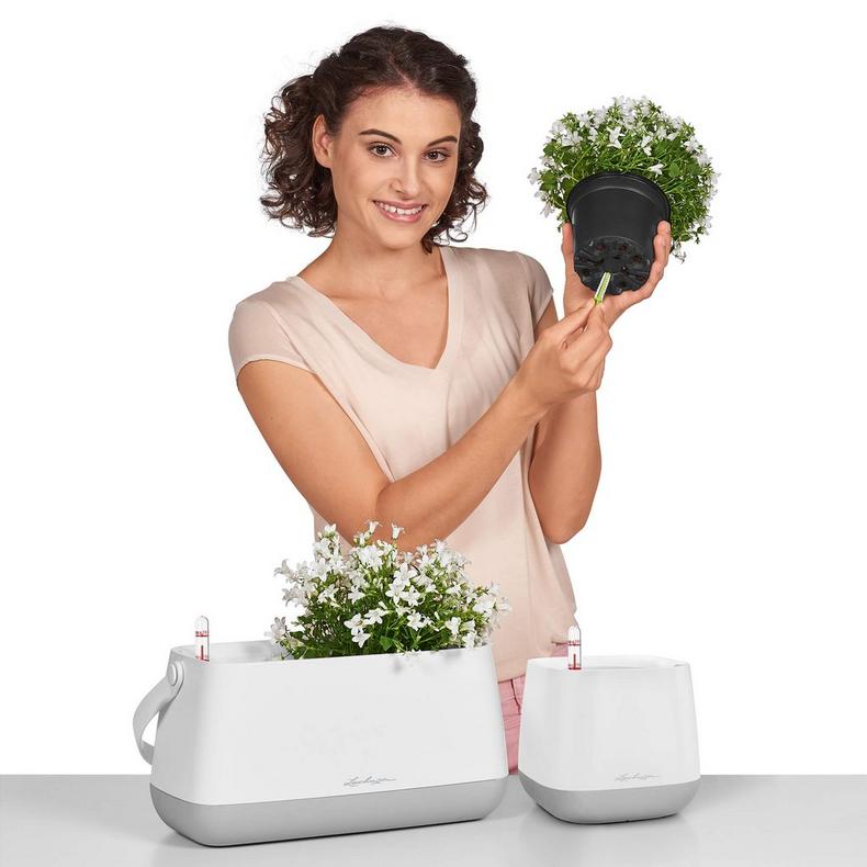 Lechuza Self Watering Pot - YULA - Image 4