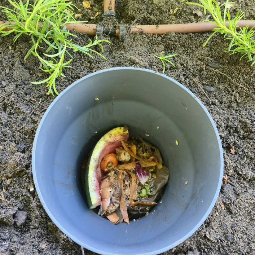 Maze 10L Standard In Ground Composter and Worm Farm - Image 3