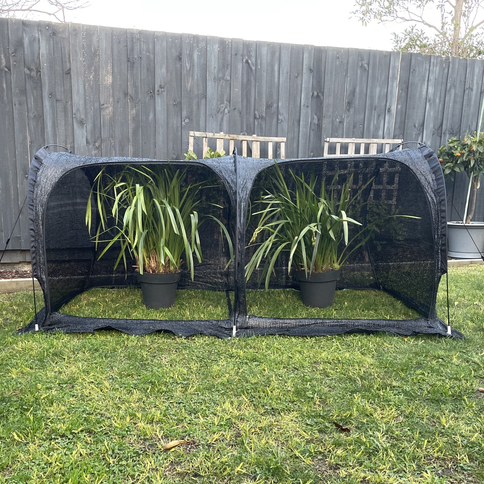 Maze 2m Fibreglass Frame Shade Garden Tunnel - Image 3