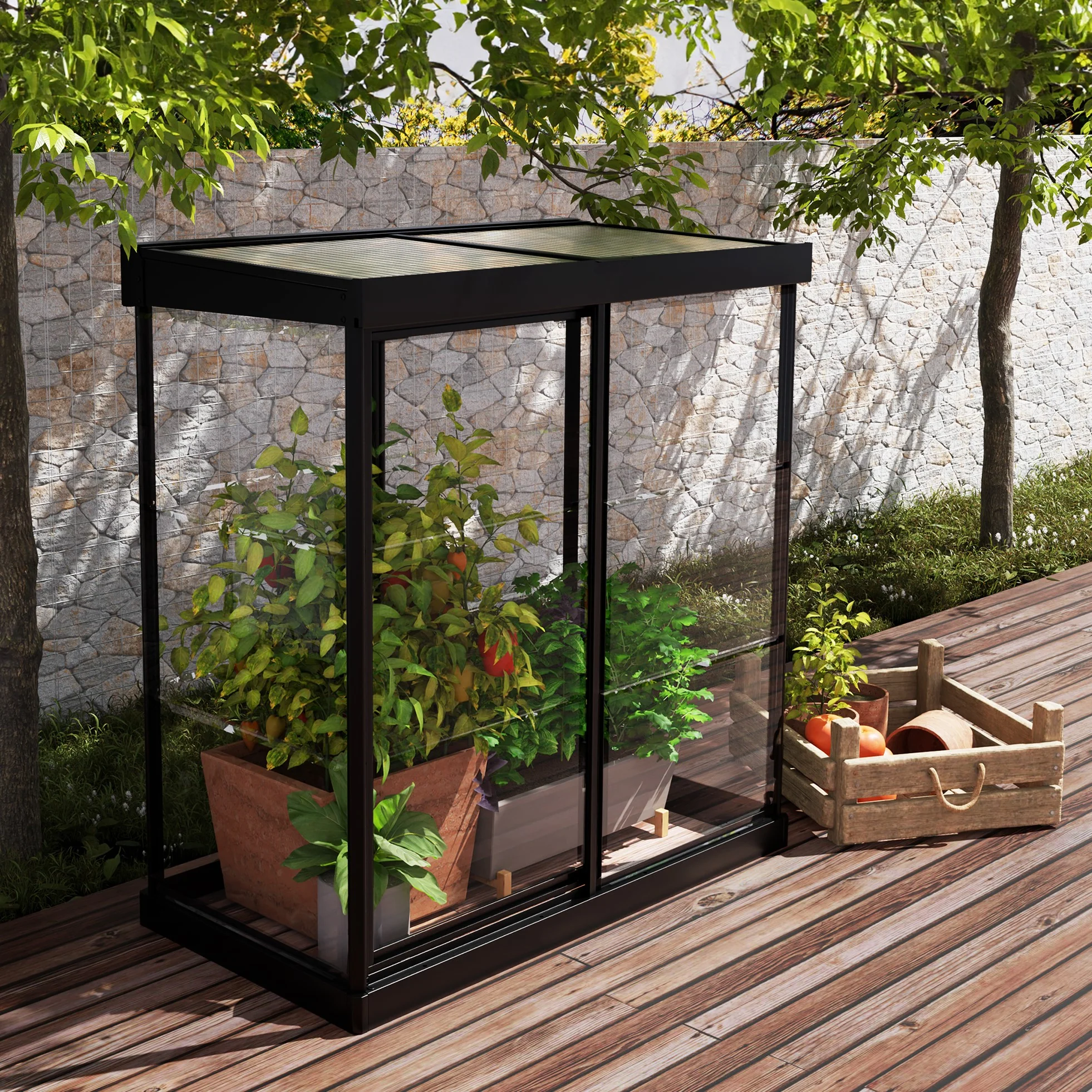 Maze Ivy Premium Polycarbonate Mini Greenhouse 4′ X 2′ – Black Frame - Image 2