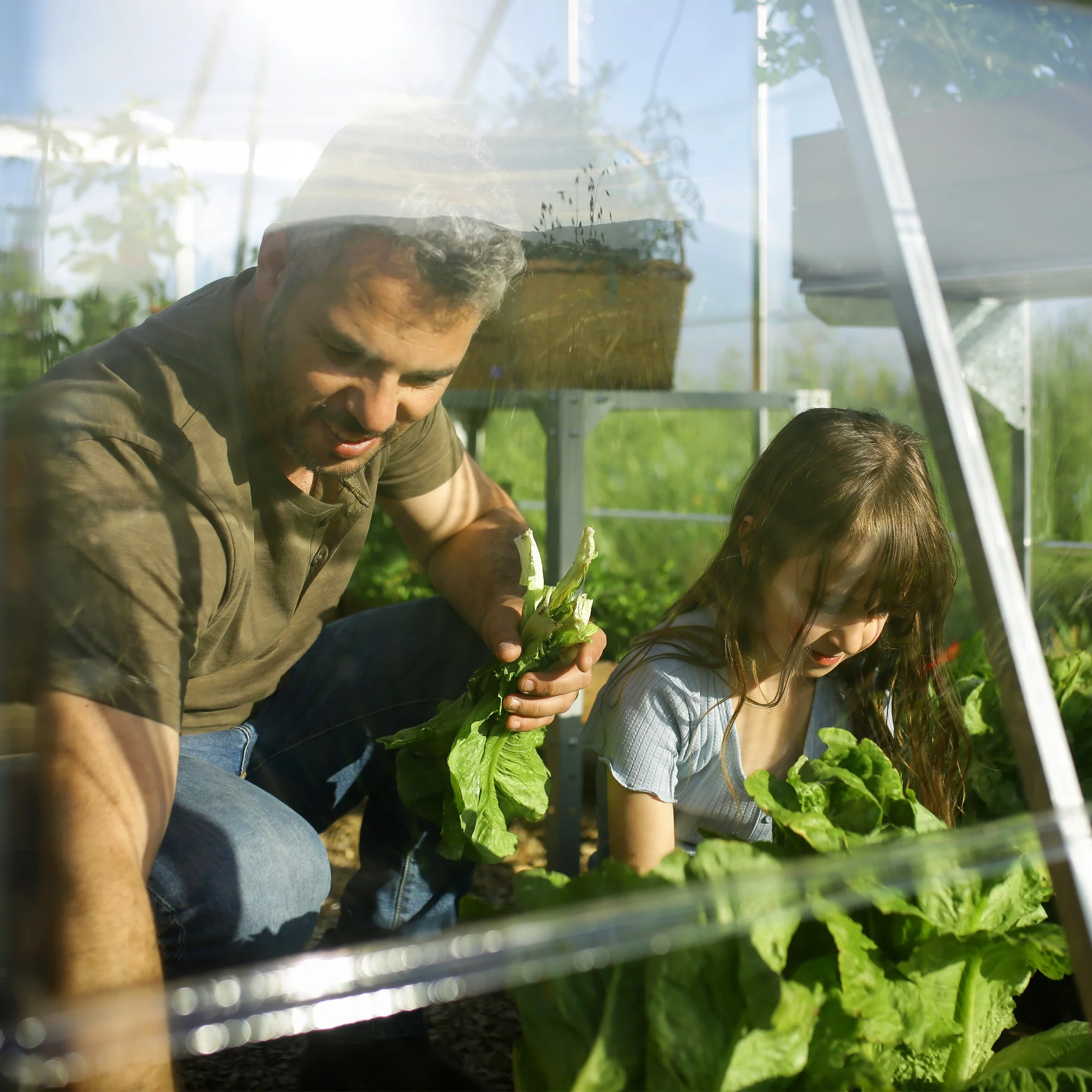 Maze Balance Premium Polycarbonate Greenhouse 10' x 12' - Silver Frame - Image 5