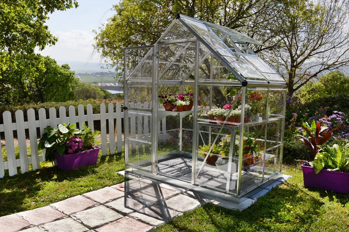 Maze Harmony Premium Polycarbonate Greenhouse 6' x 4' - Image 2