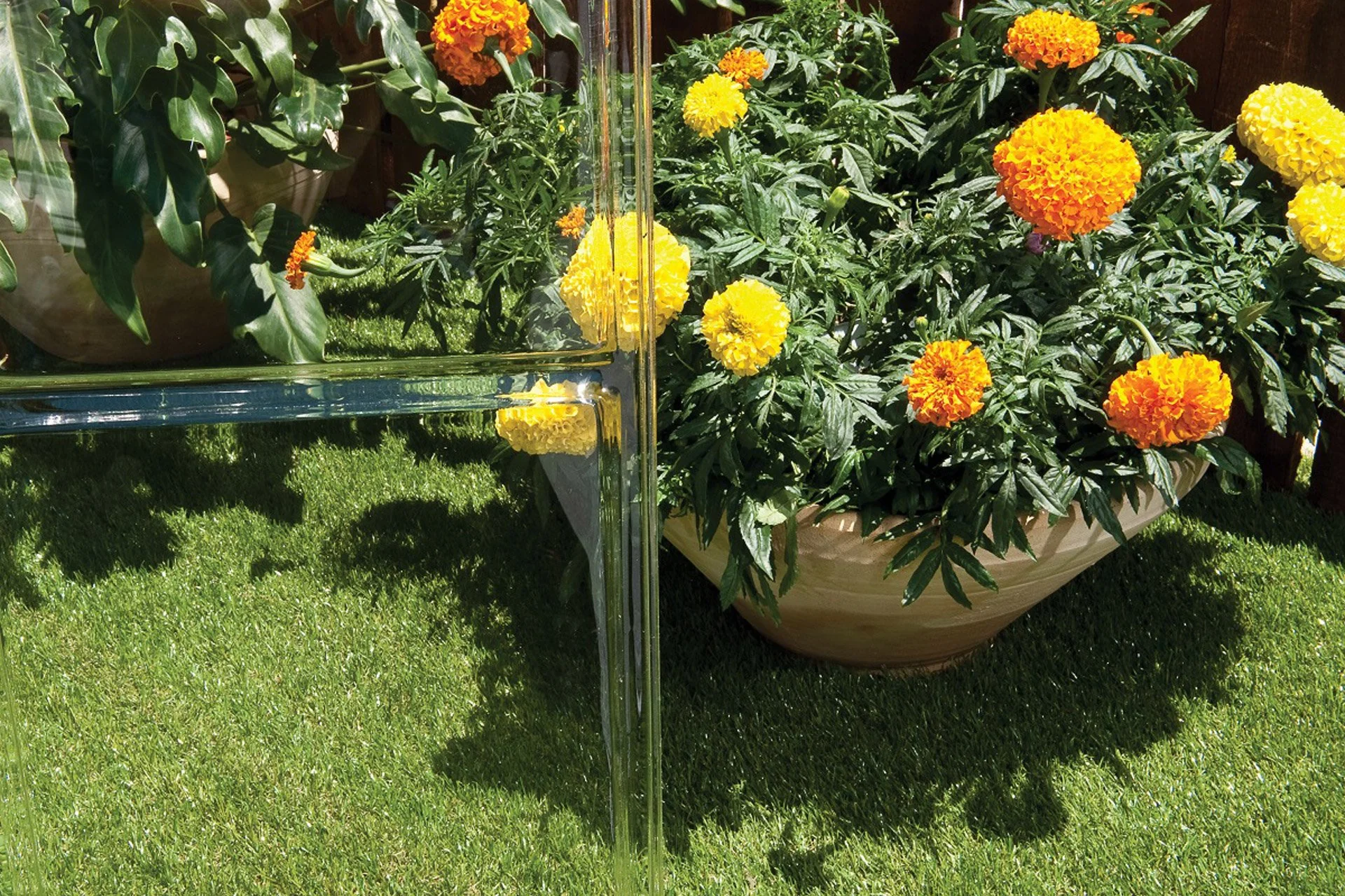 Maze Harmony Premium Polycarbonate Greenhouse 6' x 8' - Image 3