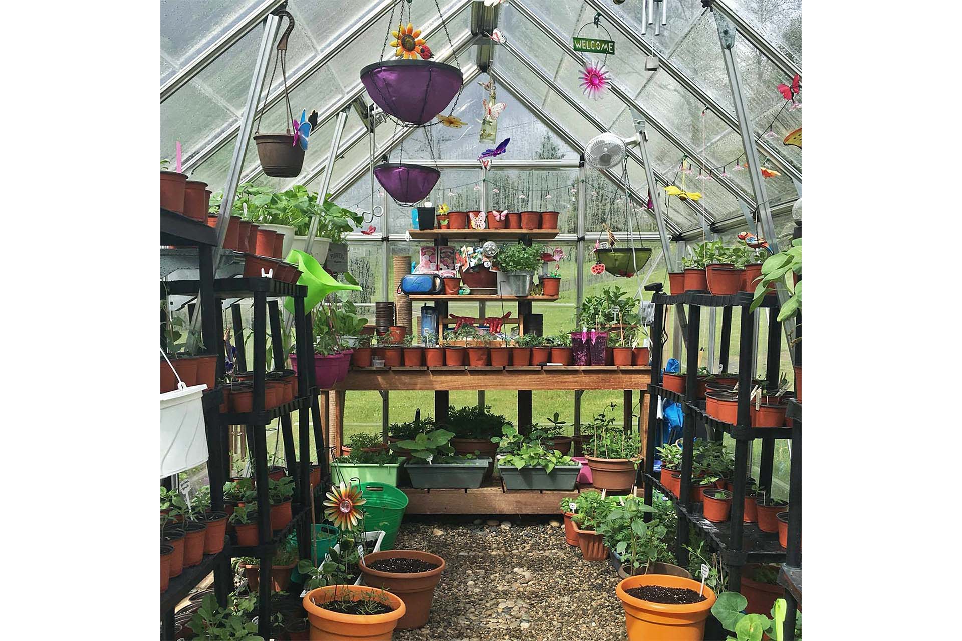 Maze Octave Premium Polycarbonate Greenhouse 8' x 12' - Silver Frame - Clear Roof - Image 5