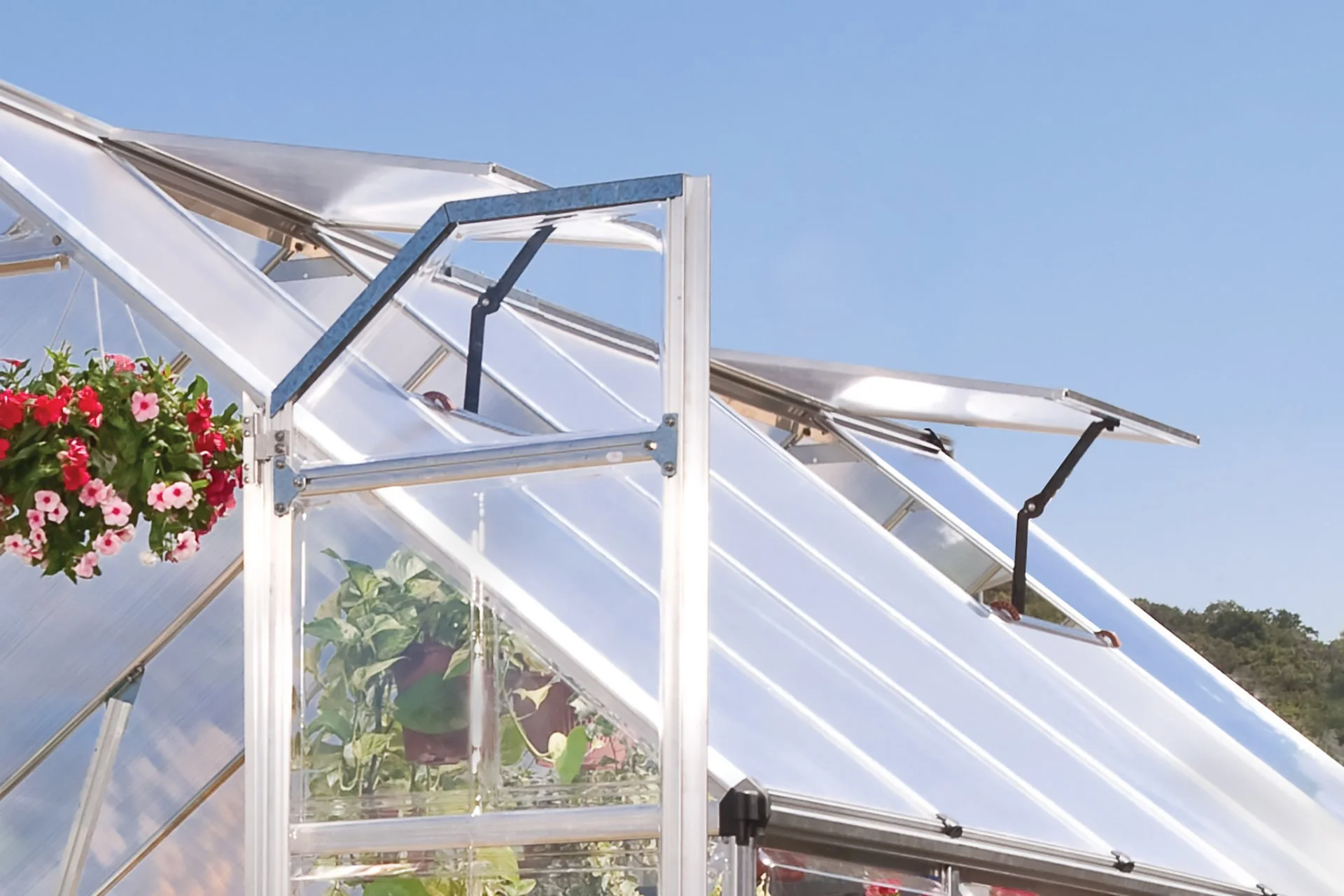 Maze Balance Premium Polycarbonate Greenhouse 8' x 8' - Silver Frame - Image 4