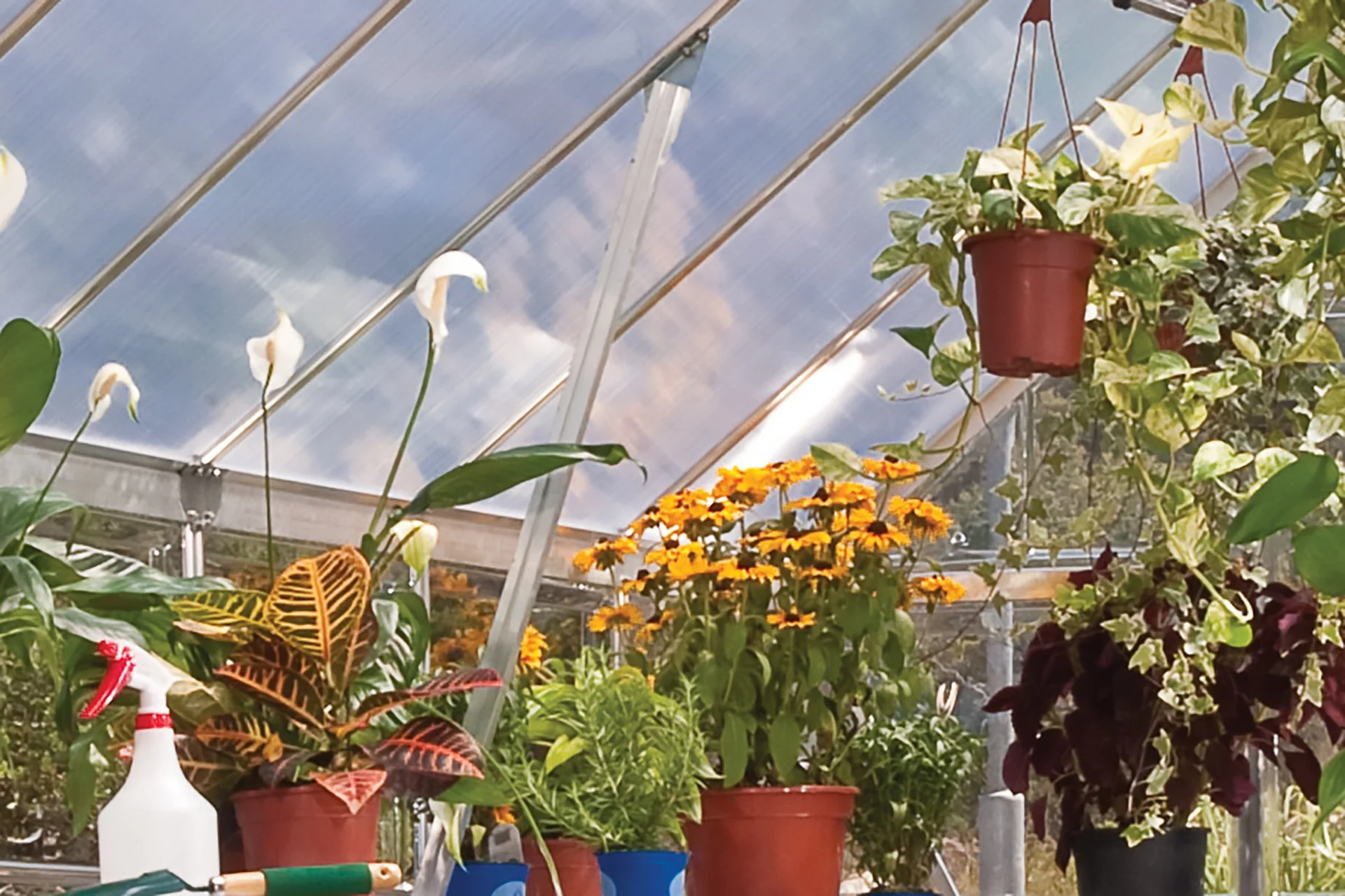 Maze Balance Premium Polycarbonate Greenhouse 8' x 8' - Silver Frame - Image 5