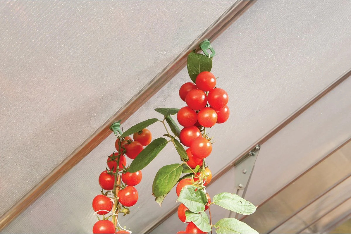 Maze Greenhouse Accessory - Plant Hangers (10 pack) - Image 4