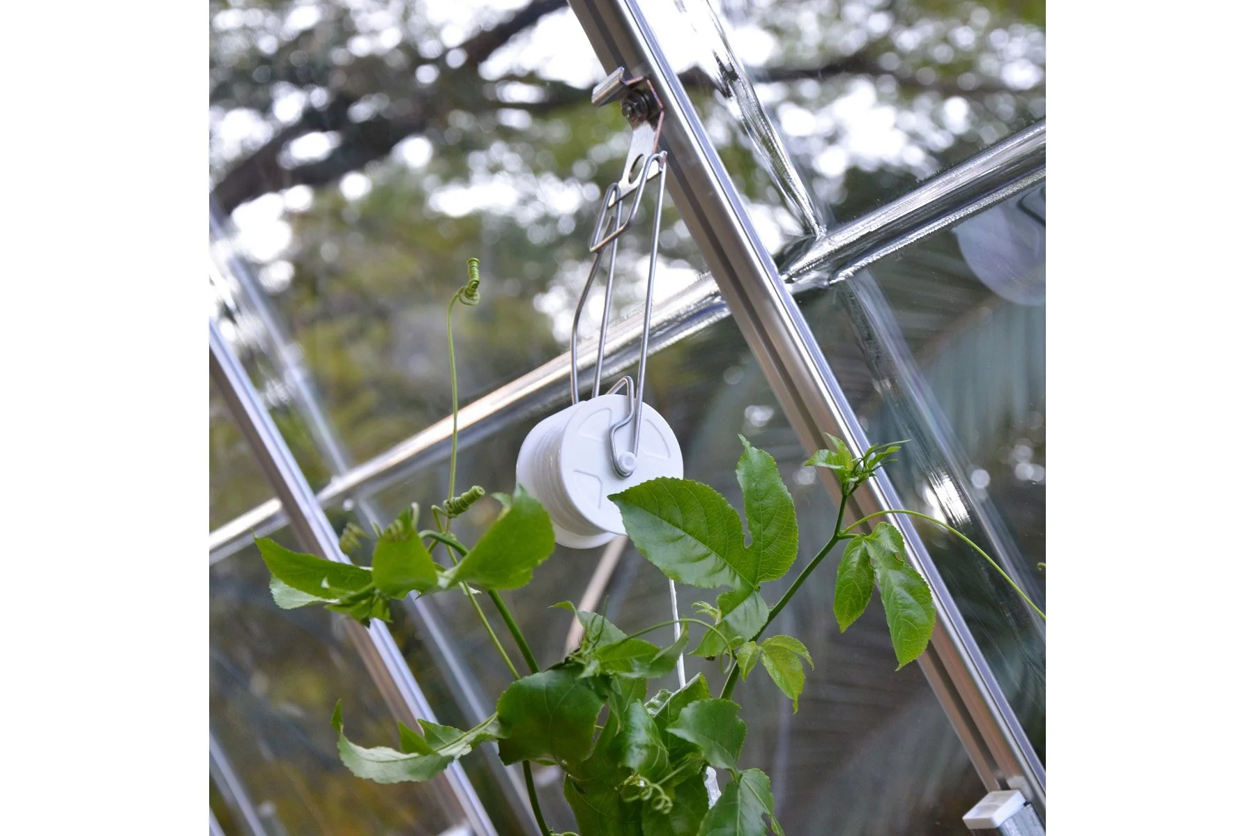 Maze Greenhouse Accessory - Trellising Kit - Image 3
